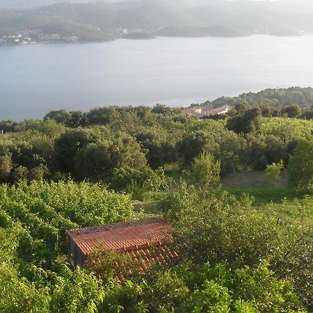 Apartment Bogoje Kuciste Εξωτερικό φωτογραφία
