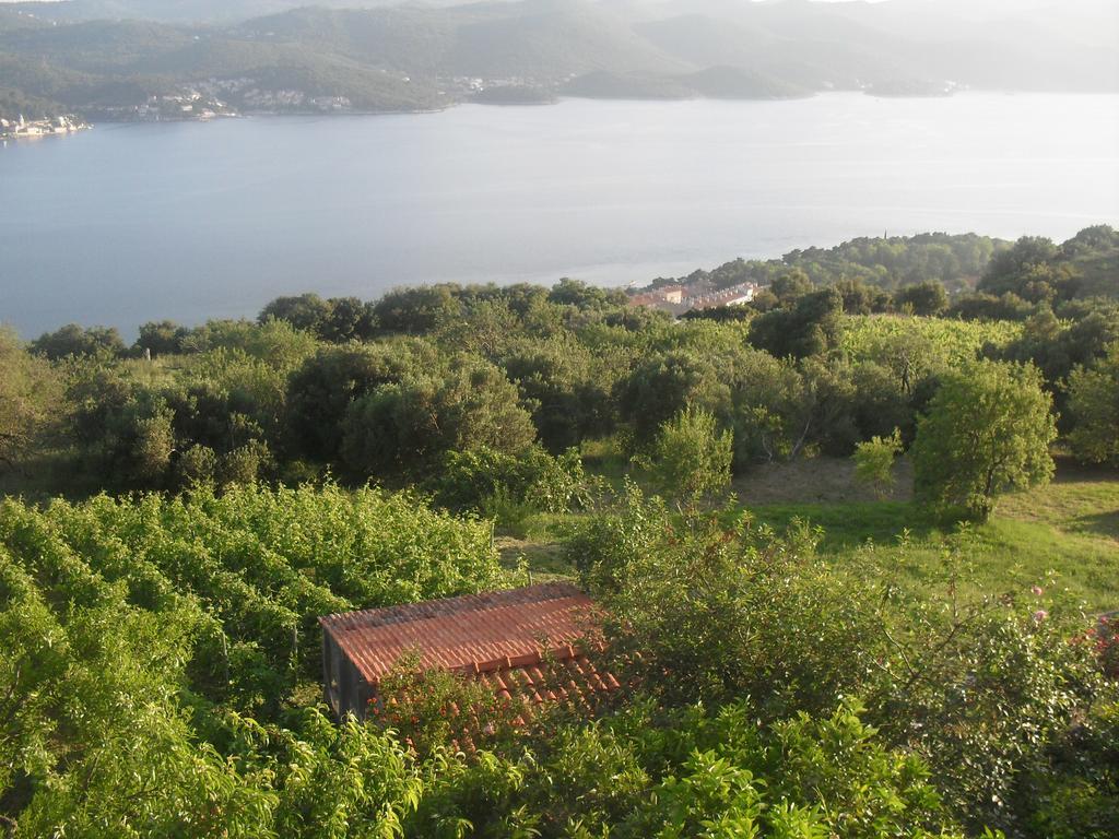Apartment Bogoje Kuciste Εξωτερικό φωτογραφία